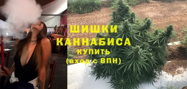 винт Армянск