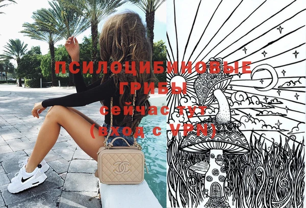 винт Армянск