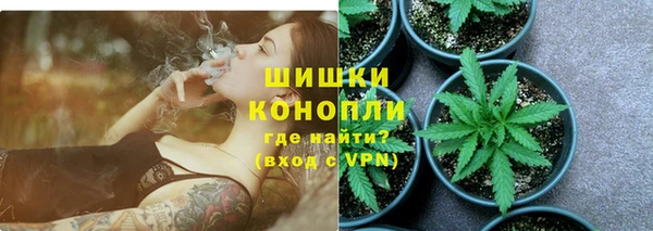 трава Арсеньев