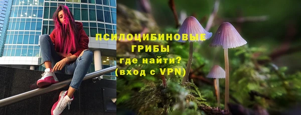 трава Арсеньев